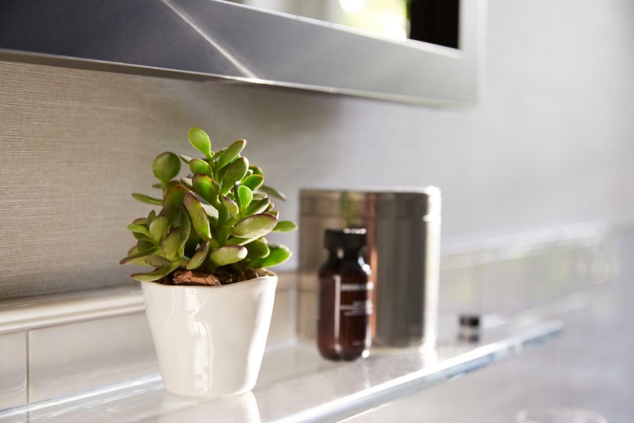 The Whitney Hotel Boston Extérieur photo A small plant in a kitchen